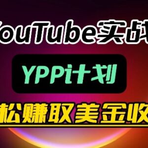 麦子甜YouTube YPP实操课 零基础学海外自媒体变现全流程-雨叶虚拟资源网