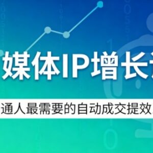 适合普通人的自媒体IP增长课 搭建自动成交提效运营系统-雨叶虚拟资源网