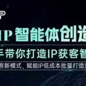 AI IP智能体创造营实操课 手把手教你打造高成交创始人IP获客体系-雨叶虚拟资源网