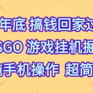 2025年底增收项目：CSGO饰品全自动捡漏纯手机操作玩法解析-雨叶虚拟资源网