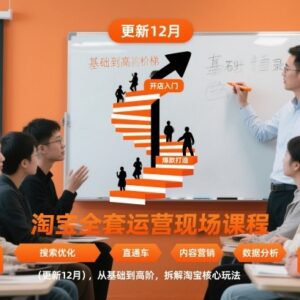 更新至2025年12月 淘宝全套运营课程从基础到高阶拆解核心玩法-雨叶虚拟资源网
