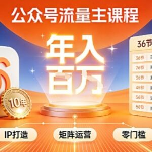 公众号流量主全环节运营技巧 零基础IP搭建矩阵变现实操指南-雨叶虚拟资源网