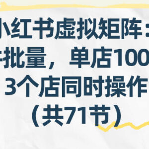 小红书虚拟矩阵实操教程 批量发笔记多店运营副业课程共71节-雨叶虚拟资源网