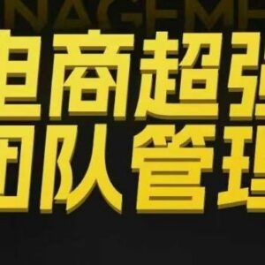 电商团队管理全流程教程 从组织绩效到分权合伙实操解析-雨叶虚拟资源网