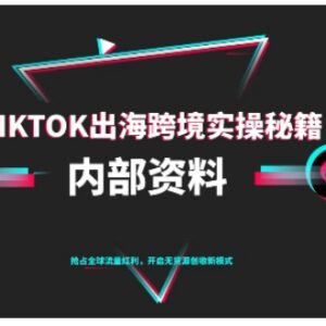 10月更新TikTok跨境电商0-1搭建运营全流程实操教程-雨叶虚拟资源网