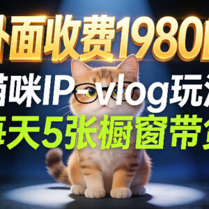 宠物赛道猫咪Vlog IP玩法拆解 26条视频涨粉29万带货实操攻略-雨叶虚拟资源网