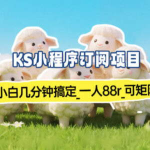 实测可到账小程序订阅副业 小白易上手单账号88元支持矩阵操作-雨叶虚拟资源网