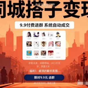 同城搭子变现实操玩法 9.9付费进群系统自动成交攻略-雨叶虚拟资源网