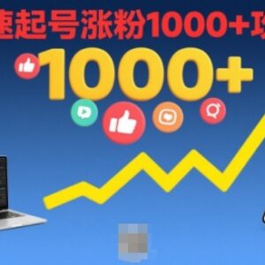 2025版短视频快速起号涨粉1000+攻略 新手入门实操教学-雨叶虚拟资源网