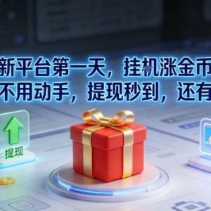 新上线挂机涨金币项目玩法 无需手动操作提现秒到享额外奖励-雨叶虚拟资源网