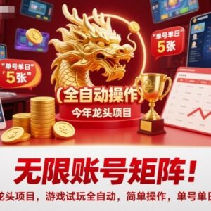 2024全自动游戏试玩账号矩阵项目 操作方法及收益情况详解-雨叶虚拟资源网