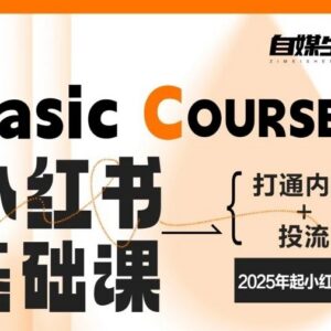 2025小红书运营基础课 打通内容创作与投流全链路实操教程-雨叶虚拟资源网