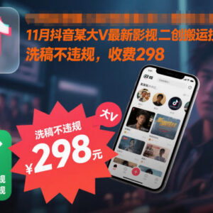 2025年11月抖音大V影视二创合规搬运不违规实操技术教程-雨叶虚拟资源网