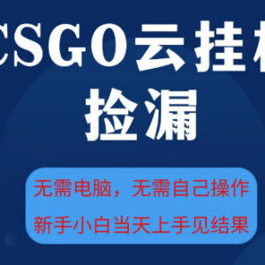 CSGO云挂全自动捡漏项目教程 新手无需电脑手机即可操作增收-雨叶虚拟资源网