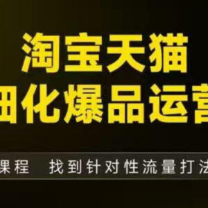 淘宝天猫精细化爆品运营线下课 全模块拆解爆品打造逻辑附资料-雨叶虚拟资源网