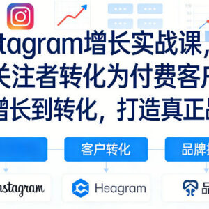 Instagram增长实战教程 从涨粉到转化付费客户打造品牌 含双语字幕-雨叶虚拟资源网