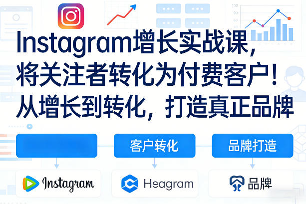 Instagram增长实战教程 从涨粉到转化付费客户打造品牌 含双语字幕