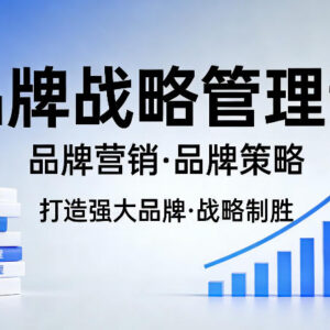 品牌战略管理系统实战课 掌握品牌营销与策略制定打造强势品牌-雨叶虚拟资源网