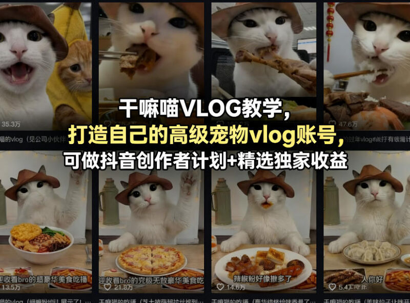 宠物VLOG账号运营教学 从起号涨粉到变现全流程实操指南