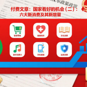 国家扶持的六大新消费赛道解读 存量挖潜及新增量机会分析-雨叶虚拟资源网