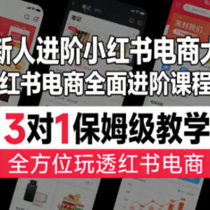 小红书电商入门到精通进阶课程 3对1保姆级全流程教学-雨叶虚拟资源网