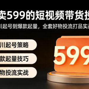 短视频带货千川投流实操课 从起号到爆款打品全流程玩法-雨叶虚拟资源网