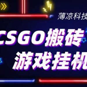 CSGO游戏饰品搬砖项目最新升级 无需玩游戏小白手机操作单日可赚300+-雨叶虚拟资源网