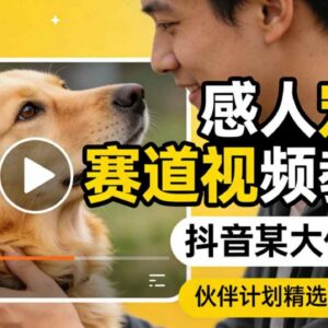抖音感人宠物赛道视频教学 零基础学会伙伴计划精选收益玩法-雨叶虚拟资源网