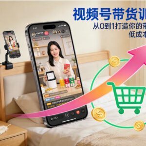 视频号带货训练营实操教程 从0到1掌握变现方法低成本居家创业-雨叶虚拟资源网
