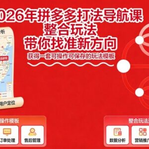 2026年拼多多运营打法导航课 附可落地实操全流程玩法模板-雨叶虚拟资源网