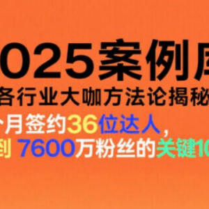 2025各行业大咖实战方法论案例库 200+实操案例全解析-雨叶虚拟资源网