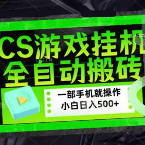 CSGO饰品捡漏搬砖项目解析 低门槛小白稳定盈利副业玩法揭秘-雨叶虚拟资源网