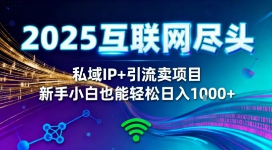 2025网创知识付费项目解析 私域IP+精准引流零经验可上手