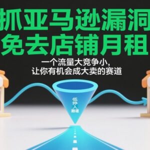 2026亚马逊合规免月租开店攻略 低竞争高流量蓝海赛道运营指南-雨叶虚拟资源网