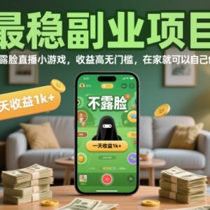 不露脸小游戏直播副业详解 无门槛居家可做上手快收益稳-雨叶虚拟资源网