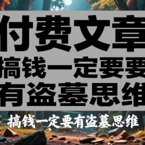 搞钱为什么要具备盗墓思维 解析创收背后的核心底层逻辑-雨叶虚拟资源网