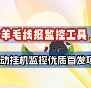 2.0版羊毛线报监控工具 可自动监控优质首发薅羊毛项目-雨叶虚拟资源网