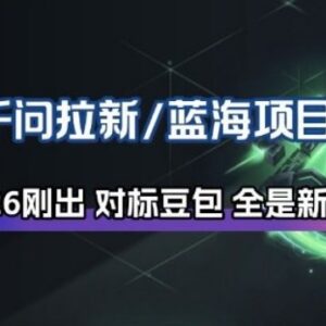 2026阿里千问拉新蓝海项目拆解 低门槛入局玩法操作指南-雨叶虚拟资源网