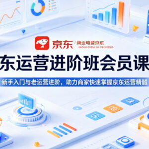 京东运营入门到进阶系统课程 商家实操盈利技巧全解析-雨叶虚拟资源网