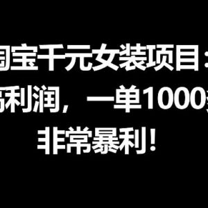 淘宝千元高利润女装项目 从0到1全流程运营教程-雨叶虚拟资源网