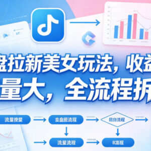 B站美女向网盘拉新玩法全流程拆解 高流量稳定收益实操详解-雨叶虚拟资源网