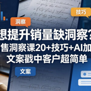 销售洞察实用教程 20+技巧+AI工具助力精准触达客户提升销量-雨叶虚拟资源网
