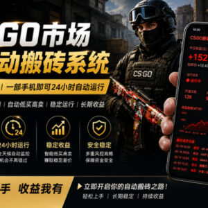 CSGO饰品24小时自动监控搬砖项目 手机操作即可实现盈利-雨叶虚拟资源网
