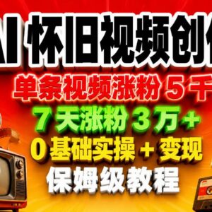 AI怀旧视频0基础创作实操教程 涨粉变现玩法全解析-雨叶虚拟资源网