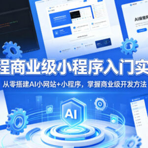 AI编程商业级小程序入门教程 从零搭建AI小网站掌握开发方法-雨叶虚拟资源网