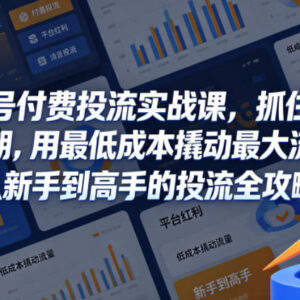 视频号付费投流实战全攻略 新手低成本撬动平台红利流量-雨叶虚拟资源网
