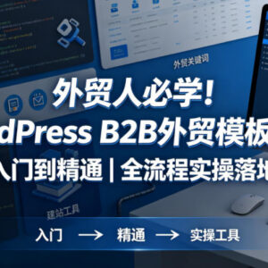 WordPress B2B外贸模板建站全流程实操课 零基础从入门到精通-雨叶虚拟资源网