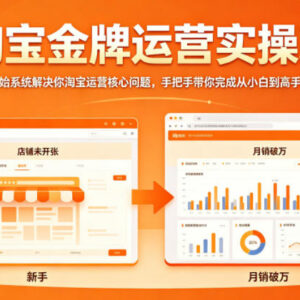 淘宝金牌运营实操课程 零基础系统掌握店铺运营全链路玩法-雨叶虚拟资源网