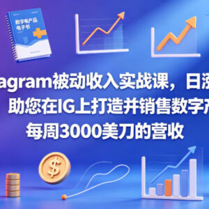 Instagram被动收入实战课 IG涨粉及数字产品销售变现教程-雨叶虚拟资源网