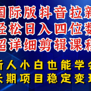 TikTok国际版拉新搭配剪映醒图豆包多玩法 长期可做副业实操教程-雨叶虚拟资源网